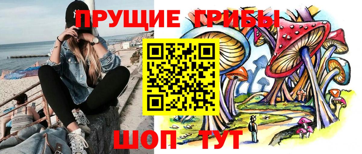 Псилоцибиновые грибы мицелий Кыштым