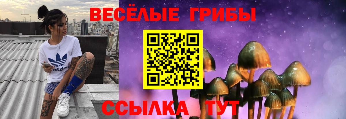 Галлюциногенные грибы ЛСД  Псилоцибиновые грибы Psilocybe  купить закладку  Вход с VPN  Кыштым 